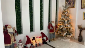 Spitalul în care poți merge în vacanță