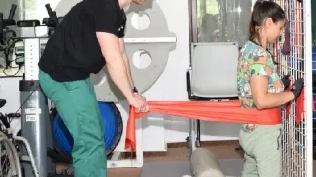 Linie de Garda in Spital de Recuperare 1 recuperare 21ahs